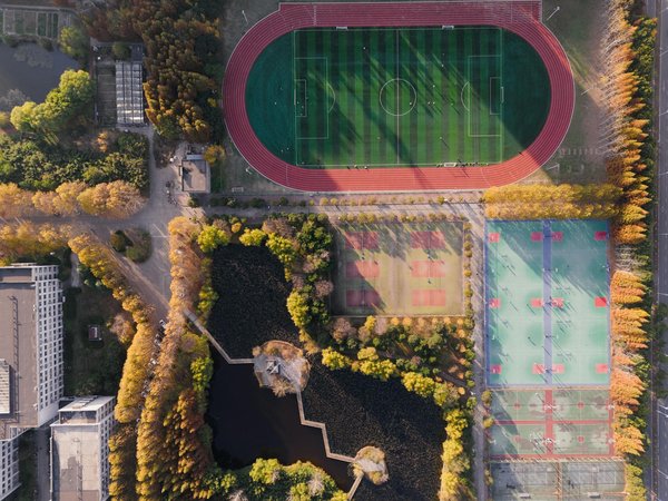 Comment devenir coach de basket professionnel ?